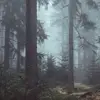Ian Docherty - @ian.docherty3 - TikTok