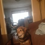 Ian Doucette - @ian_doucette32 - Instagram