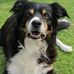 Ian Dowd - Facebook