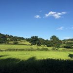 Yew Tree Cottage - @ian_dowdeswell - Instagram