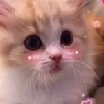 @i.a.n.d.r.e.w - Instagram