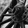 Ian Dryburgh - @ian.dryburgh - TikTok
