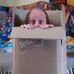 Ian L Durrant - Facebook