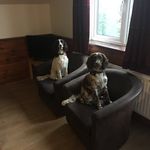 Ian Dutton - @dutton3482 - Instagram