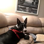 Ian Eager - Facebook
