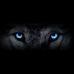 Ian Eccles - Facebook
