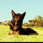 Ian Eccles - @eccles.i - Instagram