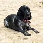 Ian Eccleston - @ianeccleston - Instagram
