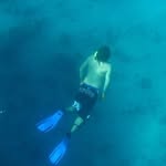 Ian Edmonds - @ian_fuzy_wuzy - Instagram