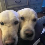 Ian Edmondson - @ianedmondson8 - Instagram