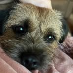 Ian Emmett - Facebook