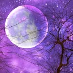 Ian Encabo - @purpleplenilune - Instagram