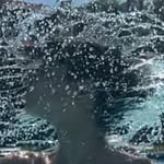 ★✰•ɪᴀɴ•✰★ - @ianengels_ - Instagram