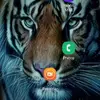 Dian Erwin - @dian.erwin8 - TikTok