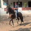 Ian Escobar - @ianblancoescobar777 - TikTok