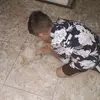 user5260982626189 - @ianestepa - TikTok