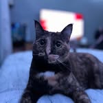 Ian Fallon - @ianfallon513 - Instagram