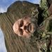 Ian Fielding - Facebook