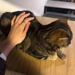 早安午安晚安 - @i_an_fine_ - Instagram