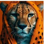 Ian Finess - @ian_finess - Instagram