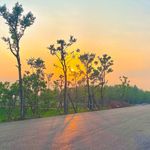 yang ming - @ianfine - Instagram