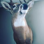 Ian Finney - @finney1424 - Instagram