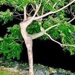 Ian Flood - @flood3226 - Instagram