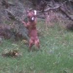 Ian Anthony Floyd - @ianfloyd4438 - Instagram