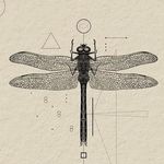Ian Floyd - @floydbury - Instagram