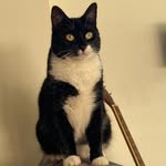 Ian Freeman - @ianfreeman - Instagram
