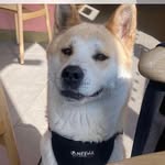 Ian Freeman - @ian.freeman2023 - Instagram