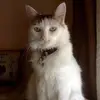 Ian Friend759 - @ianfriend759 - TikTok