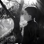 Ian Fuchs - @doofy1229 - Instagram