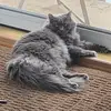 IanFu3chslin_ - @ianfu3chslin - TikTok