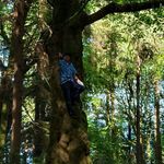 Ian Gaither - @iandcg - Instagram