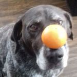 Ian Gamble - @gamble7548 - Instagram