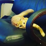 ian - @iangarman76 - Instagram