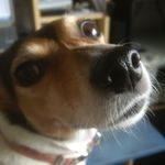 Ian Gary Logan - @ian.logan.1614 - Instagram