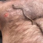 Ian Gary Smith - @iansmith6566 - Instagram