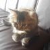 Ian Gebhardt - Facebook