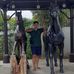 Ian Gerald Dela Fuerta - Facebook