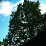 geraldian - @geraldians_ - Instagram