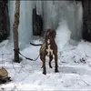 IanGerrish - @iangerrish1 - TikTok