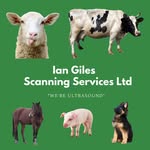 Ian Giles - @iangilesscanningservices - Instagram