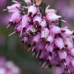 Ian Giles - @ian_giles_is_me - Instagram