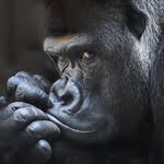 Ian Gillett - @ijg1967 - Instagram