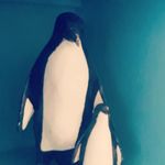 Ian Glasgow - @glasgow873 - Instagram