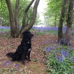 Ian Gorton - @gortoni66 - Instagram