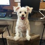 Ian Gorton - @ianmgorton - Instagram