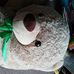 Ian Goss - Facebook